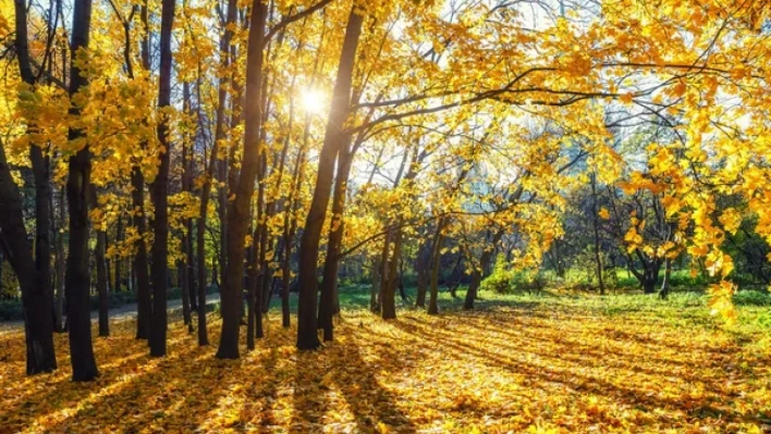 Meteoroloji açıkladı! Yağış yok, sıcaklıklar mevsim normalinde