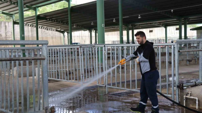 Modern Hayvan Pazarı Kurban Bayramı'na hazırlanıyor