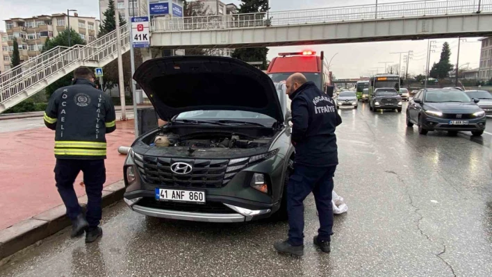 Motora saklanan kedi 13 kilometre yol gitti