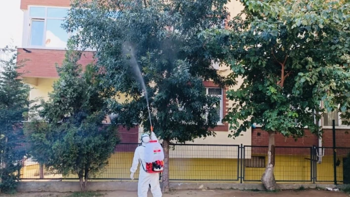 Okul bahçelerindeki ağaçlar ilaçlanıyor