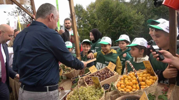 Ormanya'da üretilen kızıl geyikler doğaya salındı