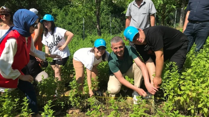 Özel çocuklar sebze ve aromatik bitki yetiştiriyor