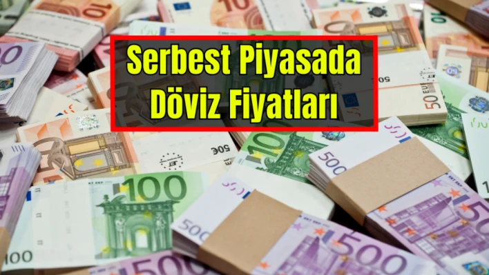 Serbest piyasada döviz fiyatları 18.08.2023