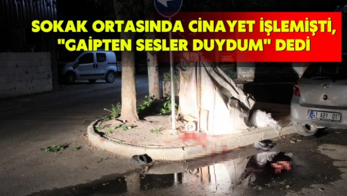 Sokak ortasında cinayet işlemişti, 'Gaipten sesler duydum' dedi