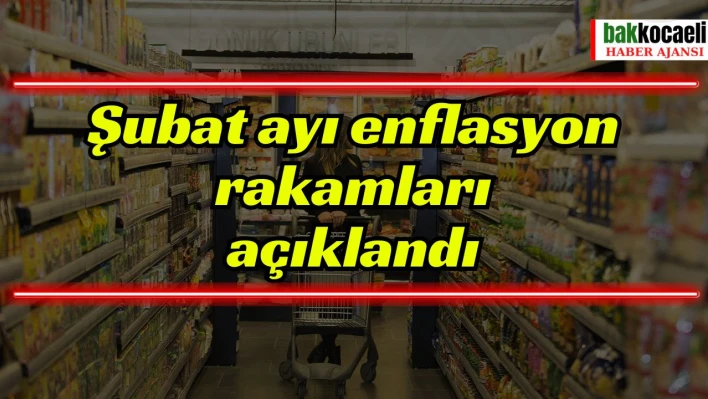 Şubat ayı enflasyon rakamları açıklandı