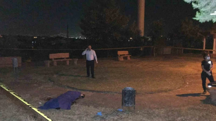 Tanımadığı genci parkta öldüren sanık: ''Niye bakıyorsun lan' diyerek bana küfür etti'