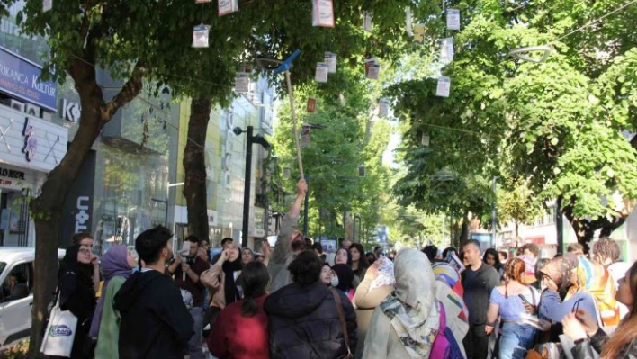 Tarihi çınar ağaçlarından 'kitap' topladılar