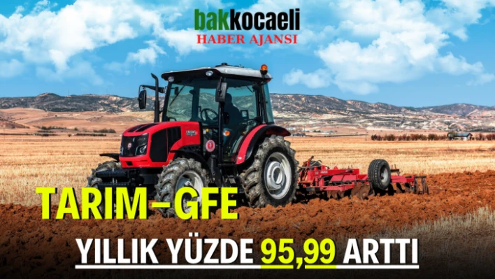 Tarım-GFE yıllık yüzde 95,99 arttı