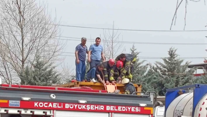 Temizlik yaparken kimyasal tankerinin içine düştü, ağır yaralandı