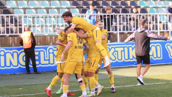 TFF 3. Lig: Belediye Derincespor: 2 - Elazığspor: 0