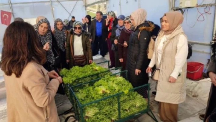 Topraksız tarım projesine kadın çiftçilerden yoğun ilgi