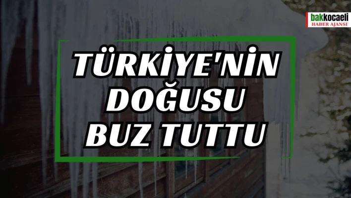 Türkiye'nin doğusu buz tuttu