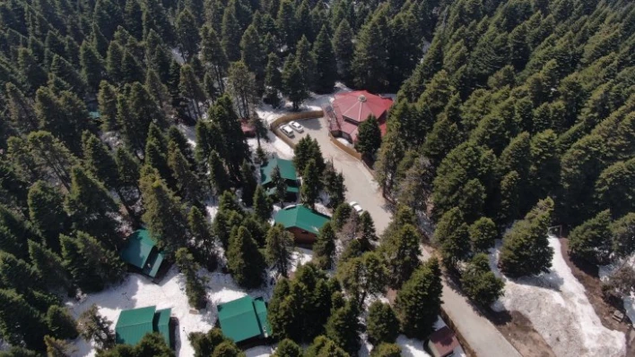  Uludağ'ın orman köşkleri bayram ve yaza hazır   