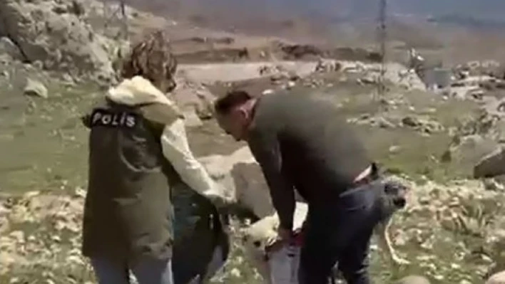   Van polisinden sokak hayvanları için beslenme etkinliği   