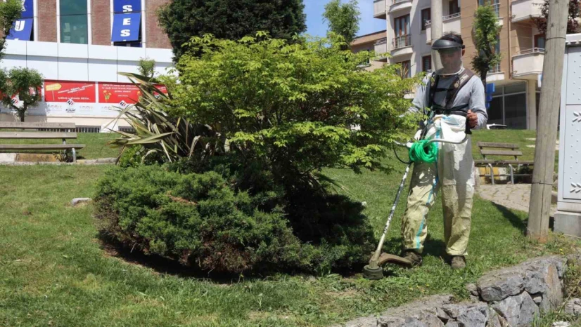 Darıca'da yeşil alanlarda bahar mesaisi