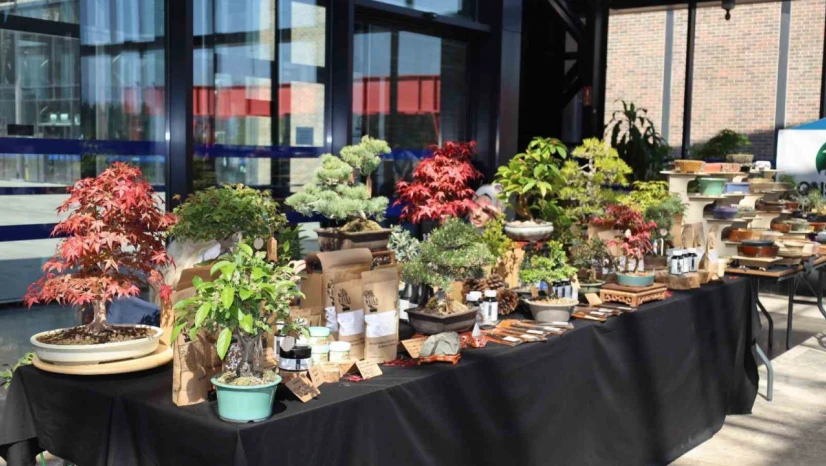 Doğa ve sanat tutkunları bonsai sanatı ile tanıştı
