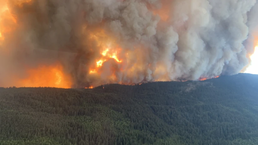 Kanada yanıyor: British Columbia'da acil durum ilan edildi