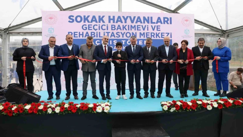 Sokak hayvanlarına geçici bakımevi hizmete açıldı